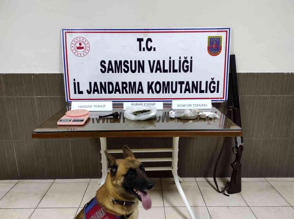 Son dakika haberleri! Jandarmadan uyuşturucu operasyonu: 1 gözaltı