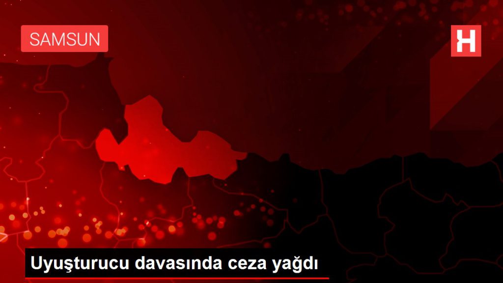 Uyuşturucu ticaretine 4 yıl 2 ay mahpus