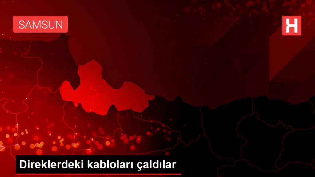 Direklerdeki kabloları çaldılar