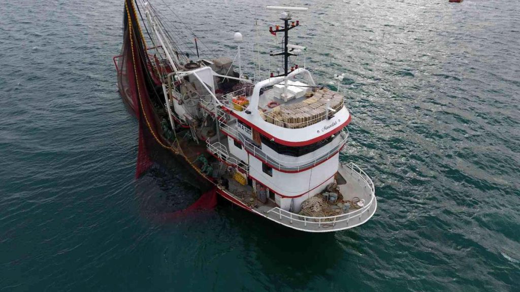 Karadeniz’de sürüklenen mayınlardan balıkçılar telaşlı