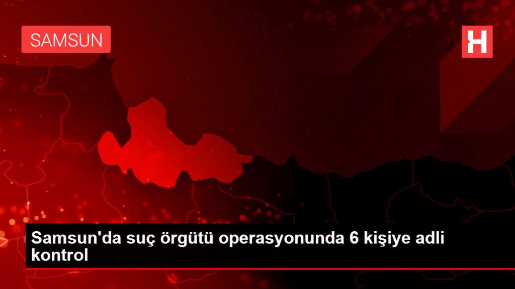 Samsun’da kabahat örgütü operasyonunda 6 şahsa isimli denetim