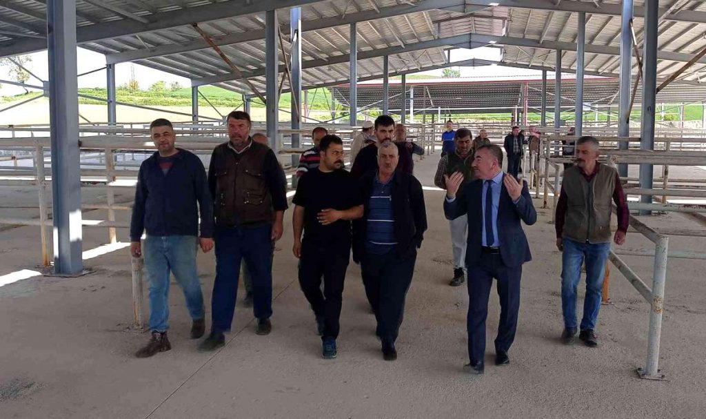 Bölgenin en büyük canlı hayvan pazarlarından biri açılıyor