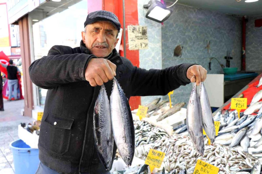 Dönemin son balıkları 15-30 TL ortasında tezgahlarda