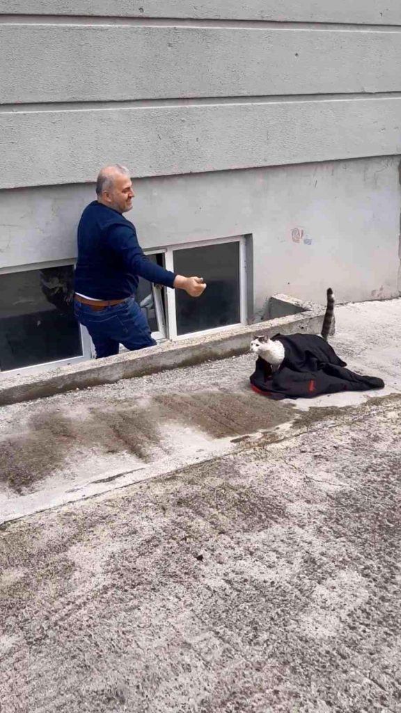 Pencereye sıkışan kedi kurtarıldı