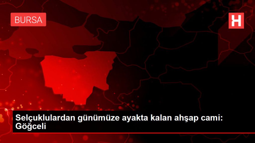Son dakika haberleri! Selçuklulardan günümüze ayakta kalan ahşap cami: Göğceli