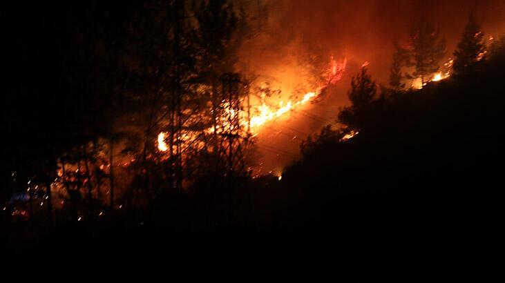 Alanya’da orman yangını! 3 dekar alan zarar gördü