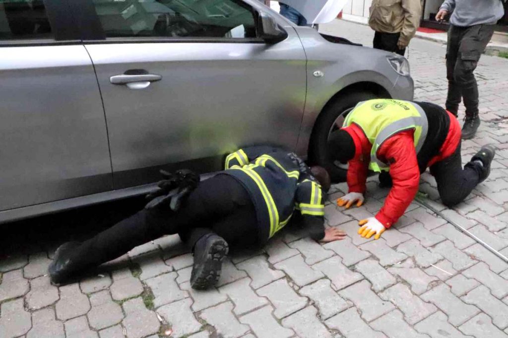 Arabanın altına giren kediyi itfaiye kurtardı