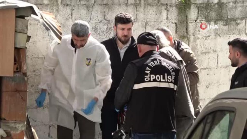 Kayıp kedisini ararken gizlenmiş el imali bomba buldu