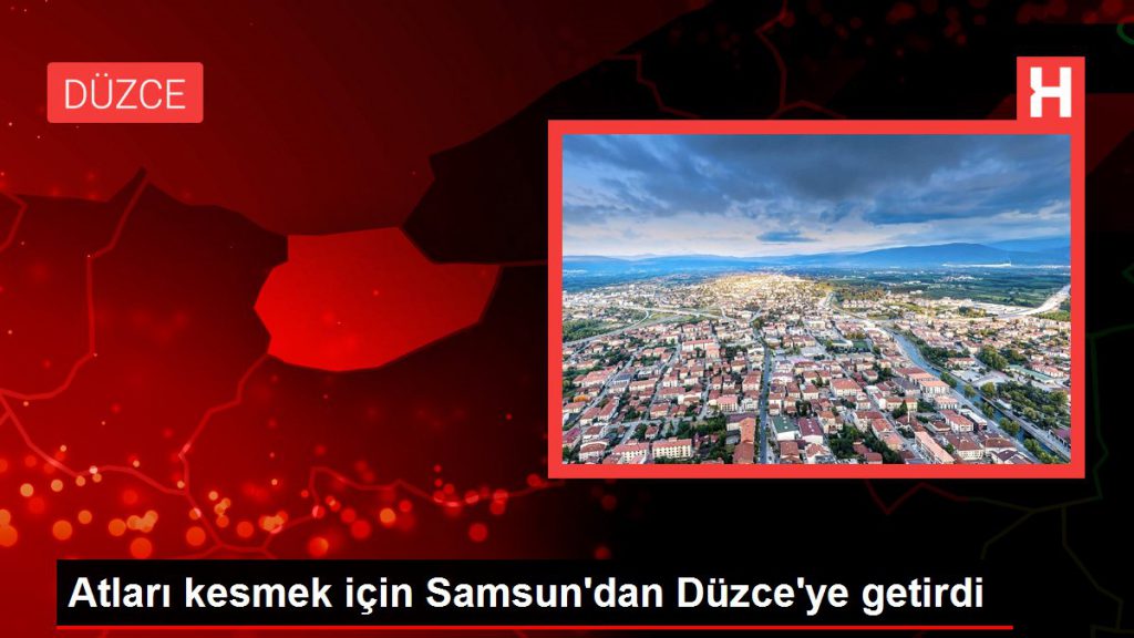 Atları kesmek için Samsun’dan Düzce’ye getirdi