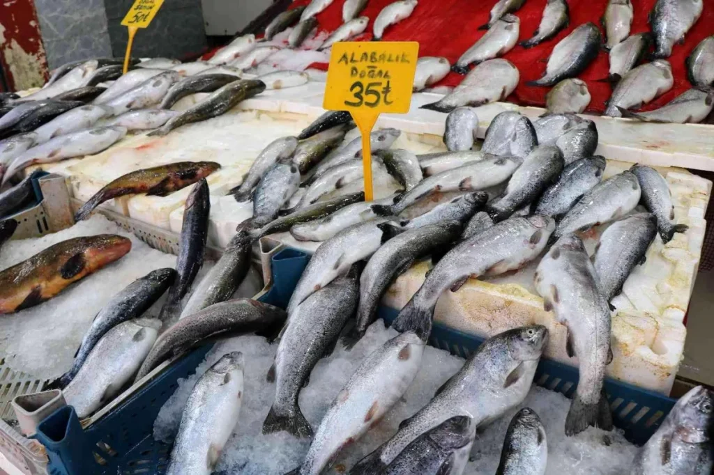 Balıkçılar yeni dönemi iple çekiyor