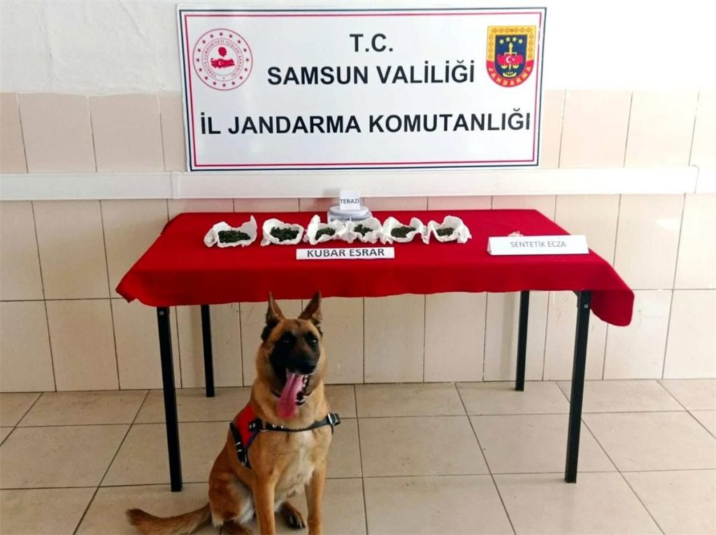 Jandarmadan uyuşturucu operasyonları: 37 gözaltı