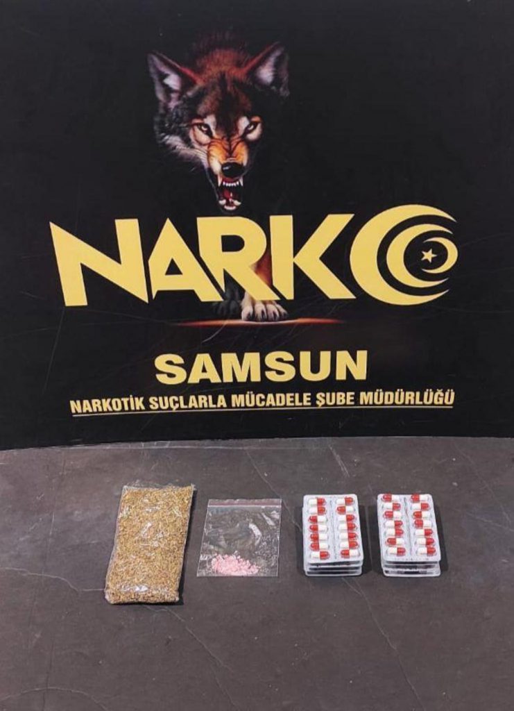 Samsun’da “torbacı” operasyonunda yakalanan 2 zanlı tutuklandı
