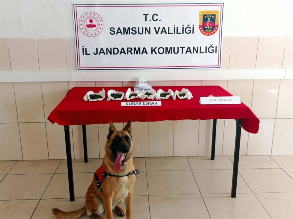 Samsun’da uyuşturucu operasyonlarında 37 zanlı yakalandı
