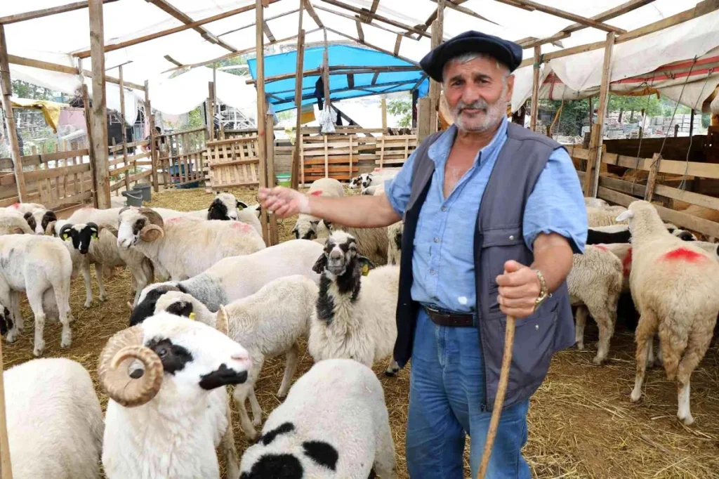 “32 büyükbaşla gelmiştim 5’i kaldı”
