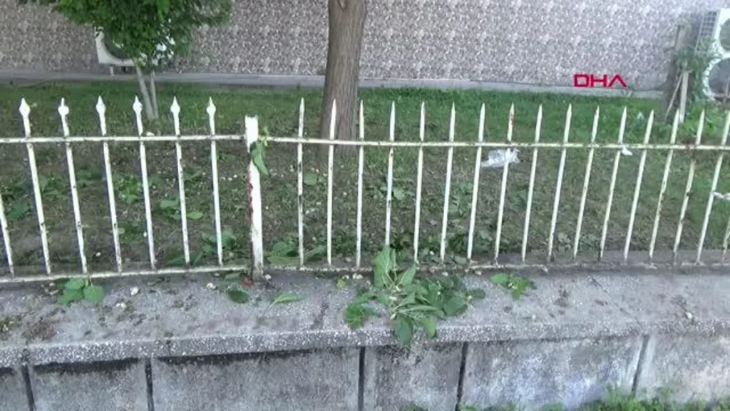 DUT AĞACINDAN DÜŞEREK DEMİR KORKULUĞA SAPLANDI