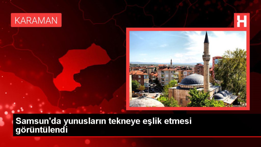 Samsun’da yunusların tekneye eşlik etmesi görüntülendi