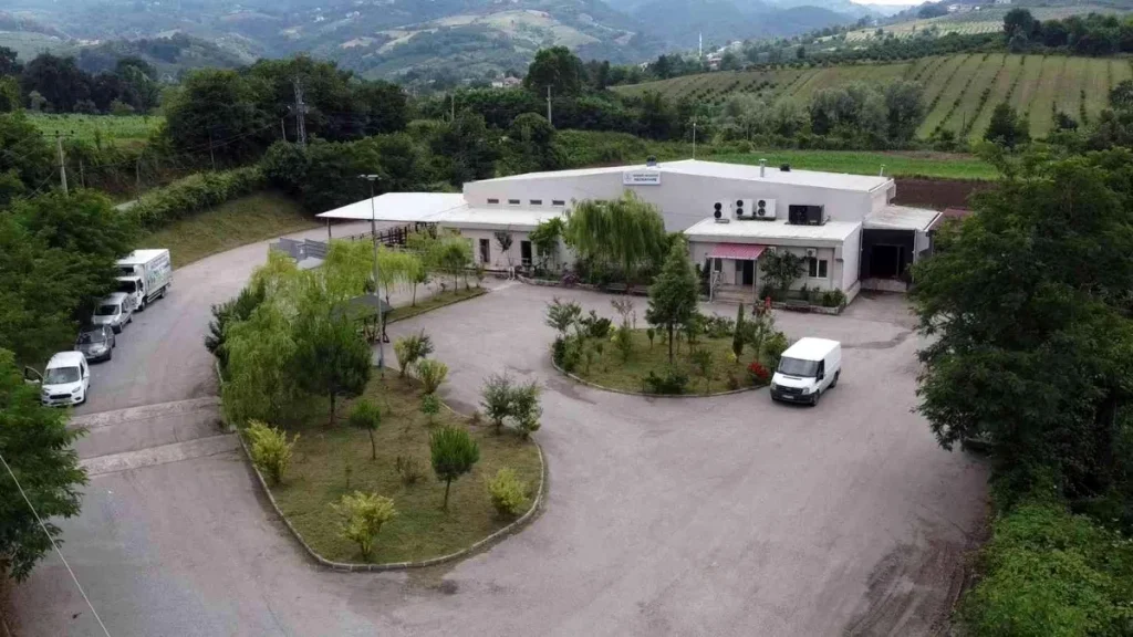 Samsun’un tek ruhsatlı mezbahası Kurban Bayramı’na hazır