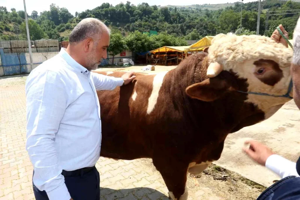 Sandıkçı: “Canik Hayvan Pazarı Karadeniz’de örnek bir pazar”