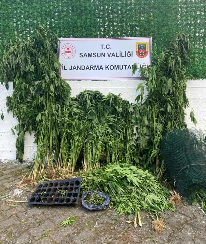 Son dakika haberi! Jandarmadan uyuşturucu operasyonu: 2 gözaltı