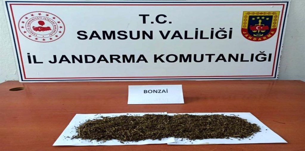 Son dakika haberi | Samsun’da uyuşturucu ve kaçakçılık operasyonları: 28 gözaltı
