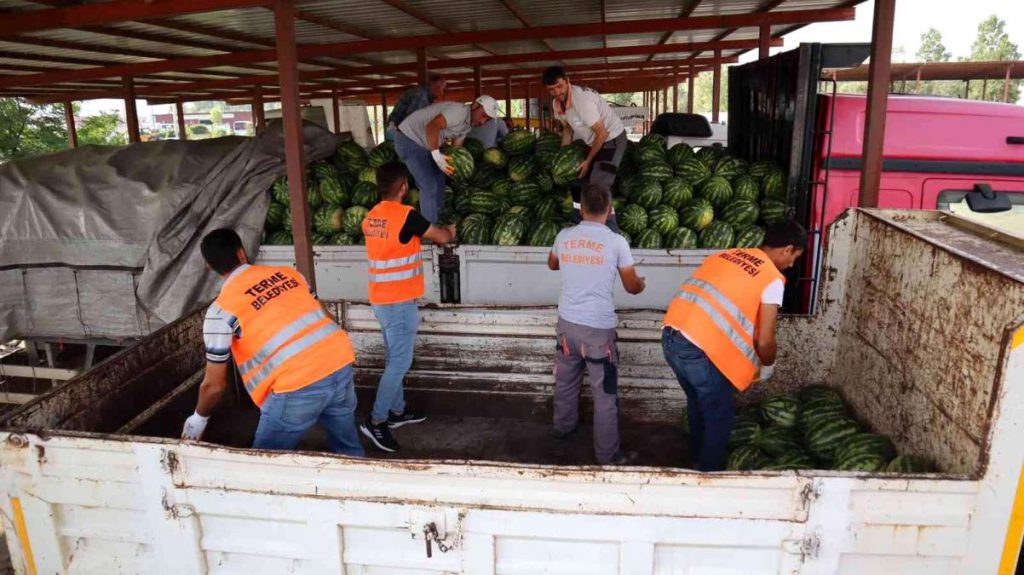 Tarladan aldığı karpuzları vatandaşa fiyatsız dağıttı