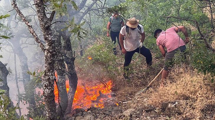 Tunceli’de ormanda örtü yangını söndürüldü