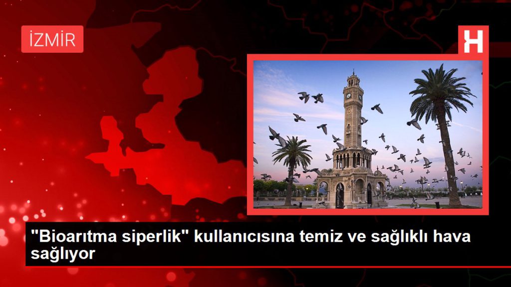 “Bioarıtma siperlik” kullanıcısına pak ve sağlıklı hava sağlıyor