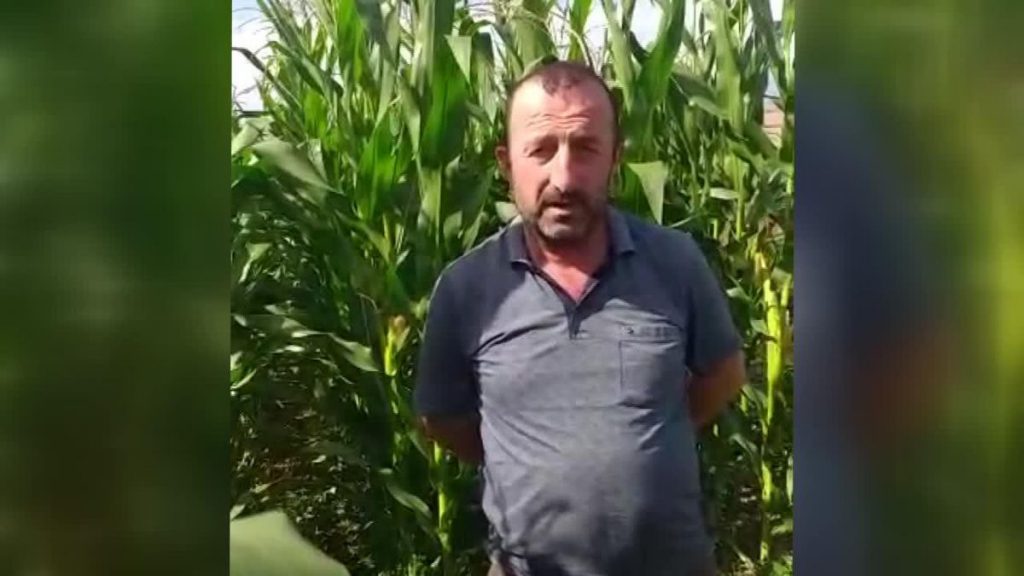 Çiftçilerin Borçlarının Ertelenme Müddeti Bugün Sona Erdi. Samsunlu Çiftçi: “Yeni Bakanın Sorunu Çözmesini Bekliyorduk Lakin Sistem Birebir İşliyor”