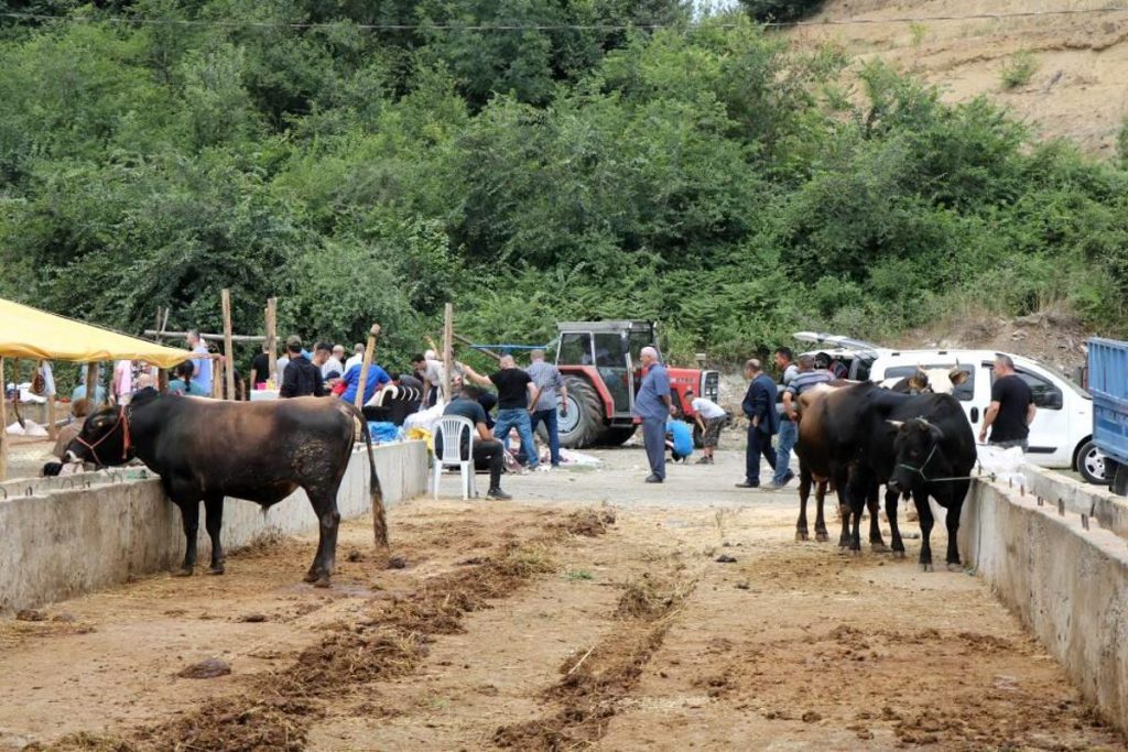 Hayvancılıkta ‘Sözleşmeli Besicilik’ devri