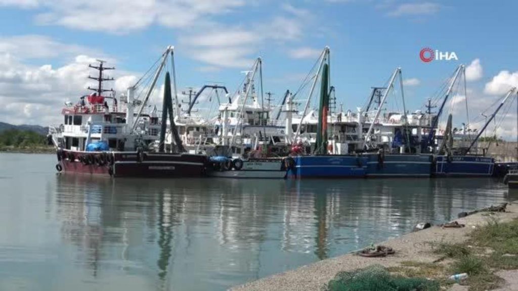 Palamut, balıkçıların yüzünü güldürdü