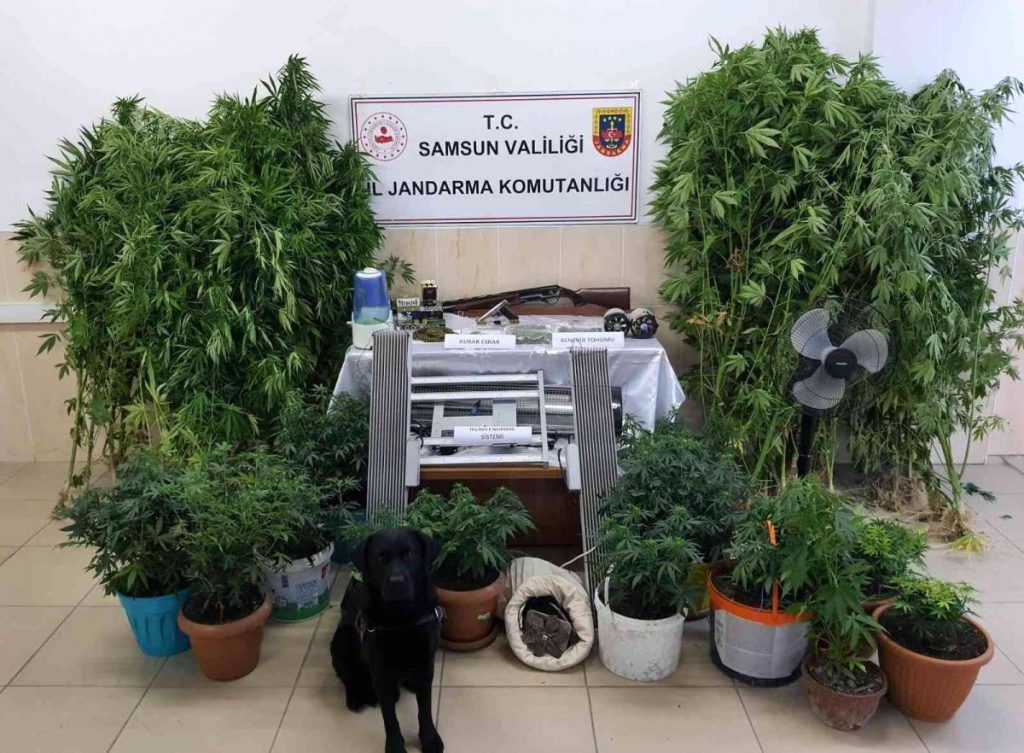 Samsun 3. sayfa haberleri… Samsun’da uyuşturucu operasyonu: Baba-oğul tutuklandı