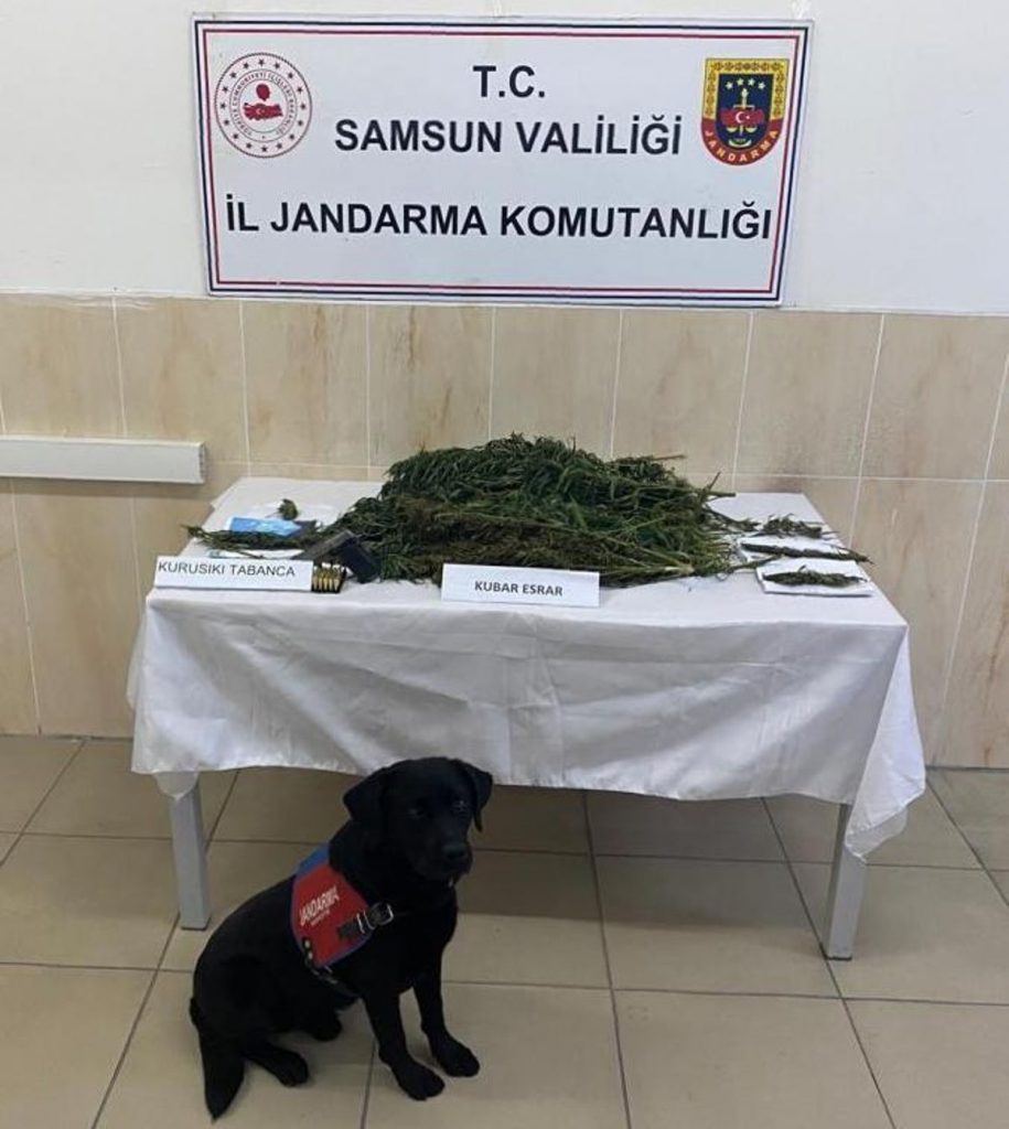 Samsun gündem haberi | Samsun’da uyuşturucu operasyonlarında 2 zanlı yakalandı