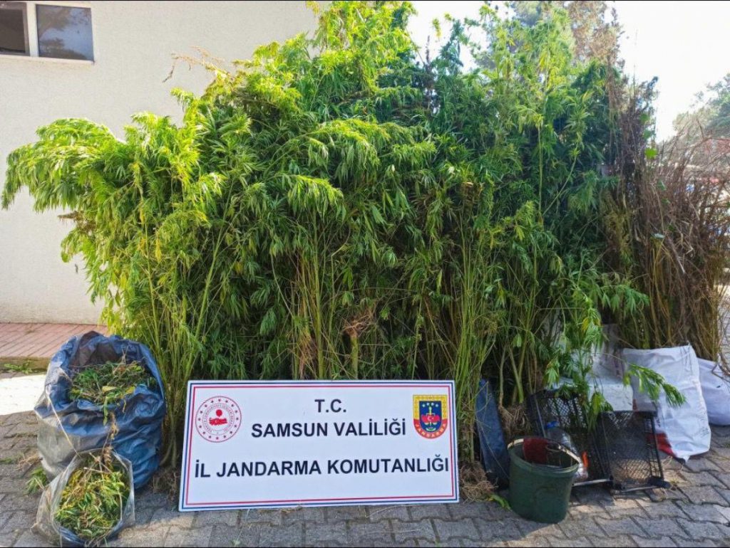 Samsun gündem: Samsun’da düzenlenen operasyonda 11 kilogram kubar esrar ele geçirildi