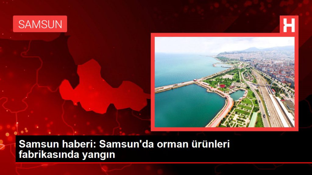 Samsun haberi: Samsun’da orman eserleri fabrikasında yangın