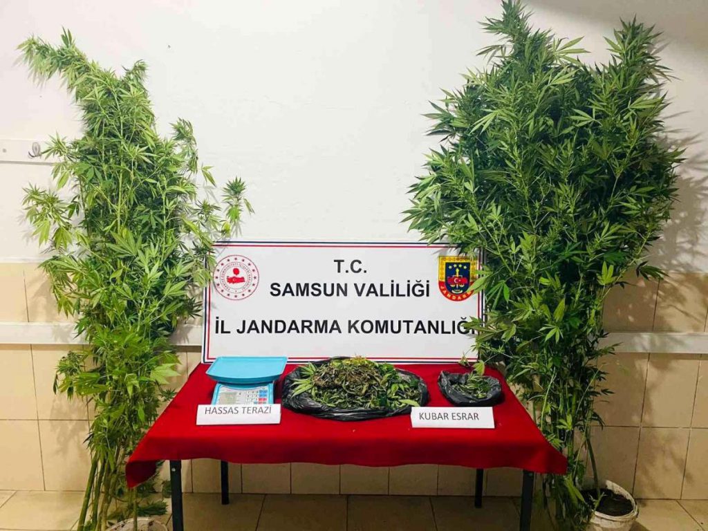 Son dakika haberleri! Jandarmadan uyuşturucu operasyonu: 1 gözaltı