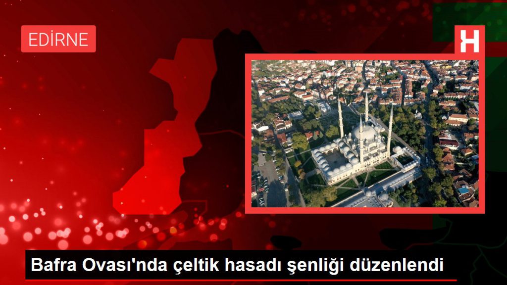 Samsun gündem haberi: Bafra Ovası’nda çeltik hasadı şenliği düzenlendi
