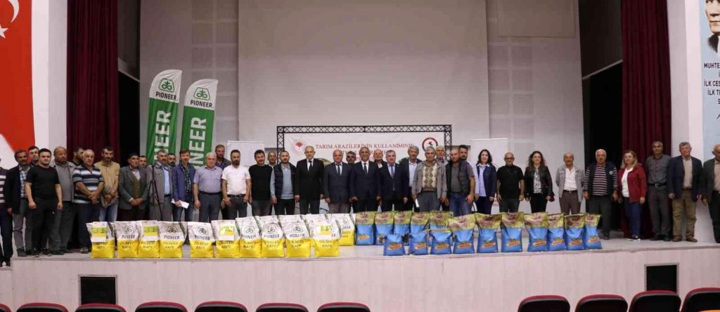 Samsun haberleri: Samsun’da kanola üretimi artıyor