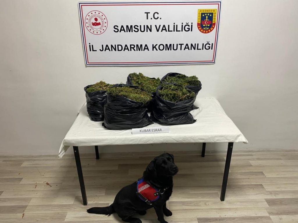 Son dakika haber! Samsun’da 15 kilo 160 gram esrar ele geçirildi, 1 kuşkulu tutuklandı