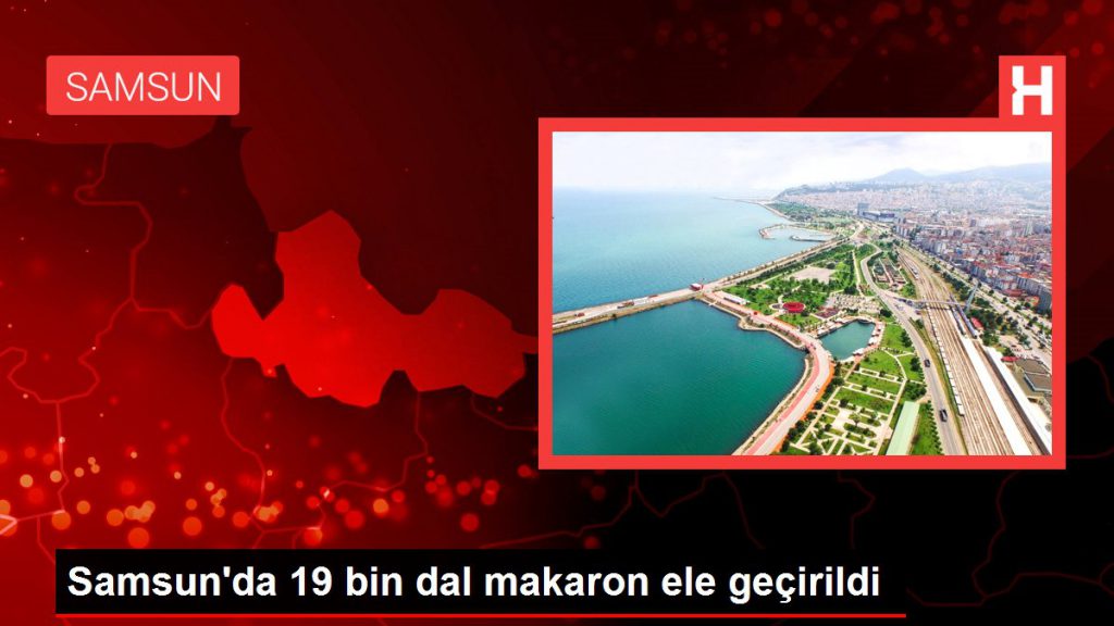 Samsun’da 19 bin kol makaron ele geçirildi
