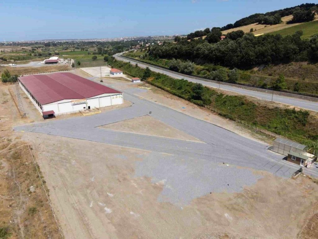 Samsun Bafra Canlı Hayvan Pazarı Şap Hastalığı Nedeniyle Kapatılmıştı, Tekrar Açıldı
