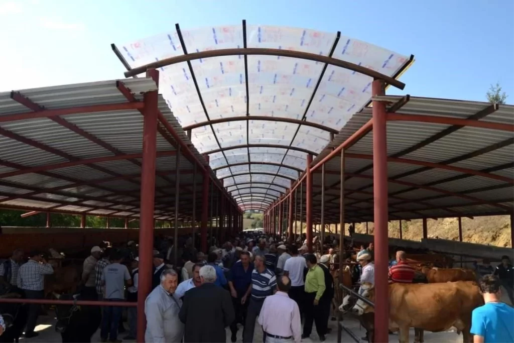 Asarcık Hayvan Pazarı açıldı