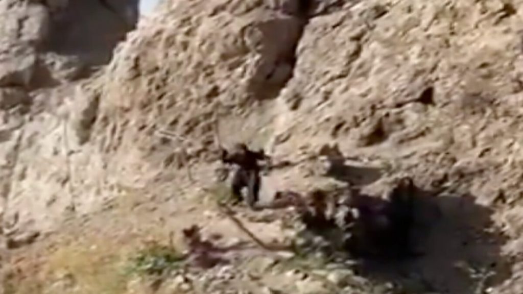 Irak’ta iki teröristin güvenlik güçlerine teslim olduğu anlar