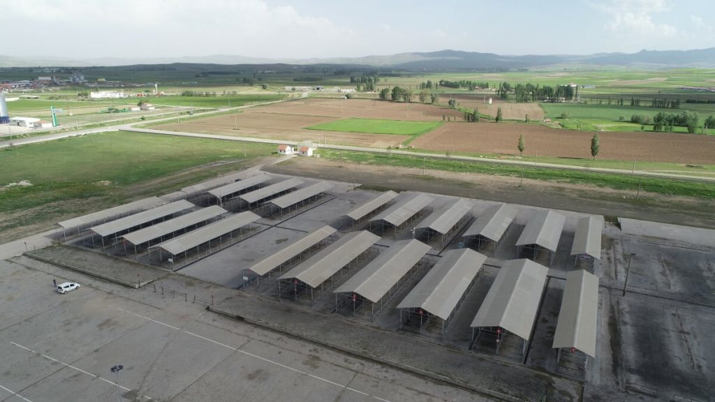 Kurban Bayramı öncesi Sivas’ta tüm hayvan pazarları kapatıldı