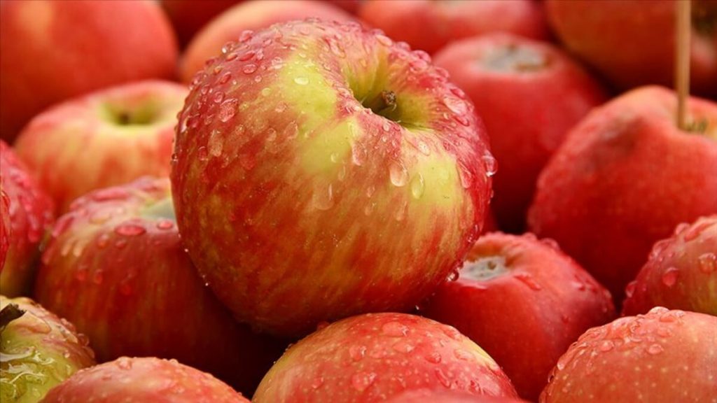 Mayıs ayında market fiyatlarındaki değişim