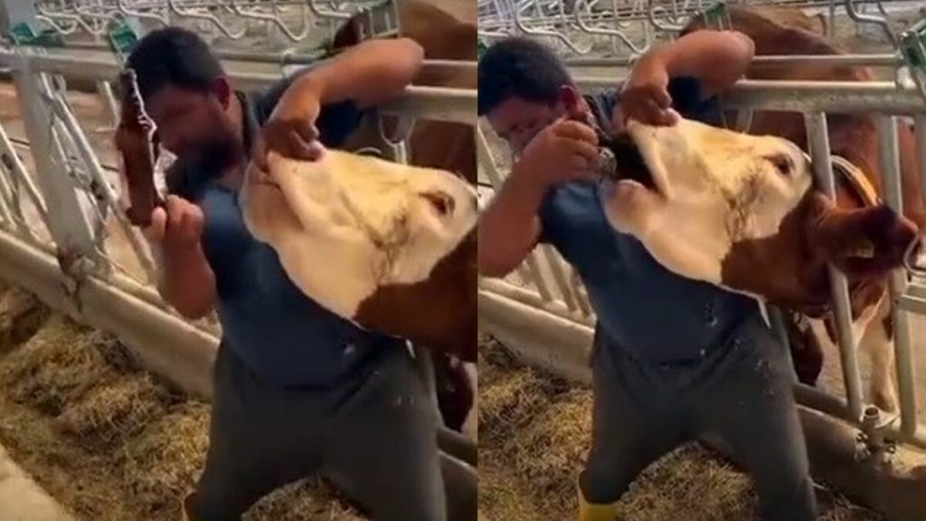 Mersin’de kurbanlığa içki veren şahıs gözaltına alındı