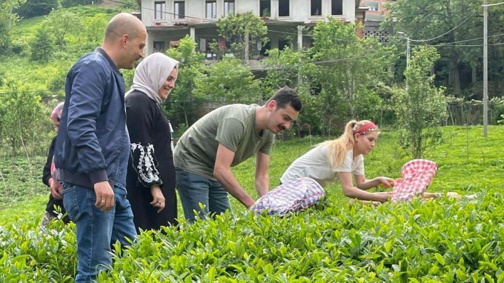 Rize’de İkizdere Kaymakamı eşiyle çay topladı, fabrikada çayın işlenmesini inceledi
