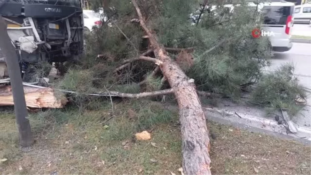 Samsun’da işçi servisi kazası: 9 yaralı ve bir karga yavrusu
