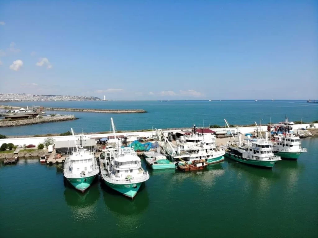 Samsun’dan Hayvansal Ürün İhracatı: 43 Milyon Dolar Kazanç