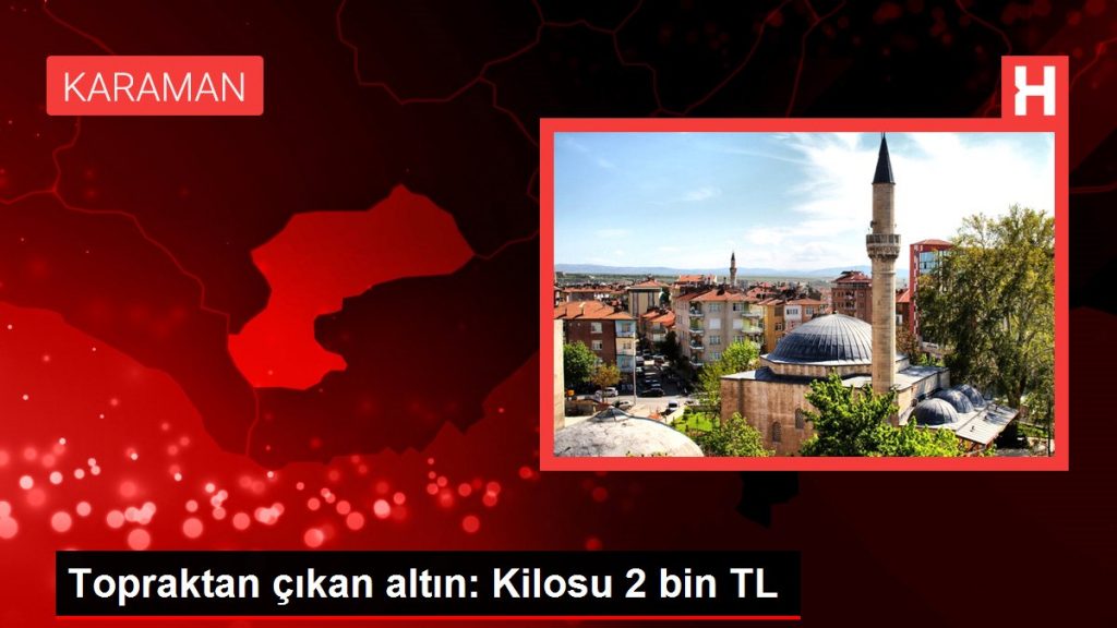 Topraktan çıkan altın: Kilosu 2 bin TL