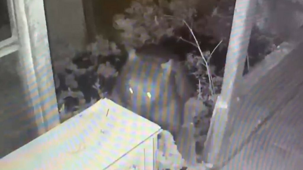 Artvin’de ayı balkon kapısını kırıp girdiği evde yiyecekleri yiyip, eşyaları dağıttı